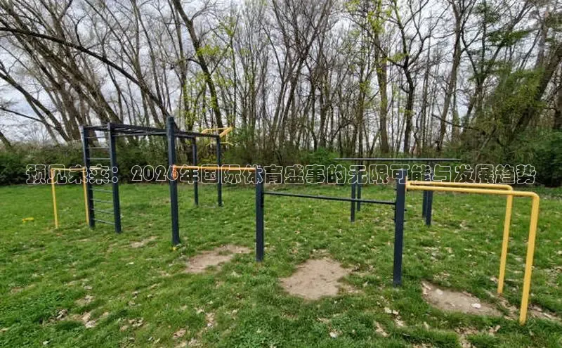 飞速直播体育