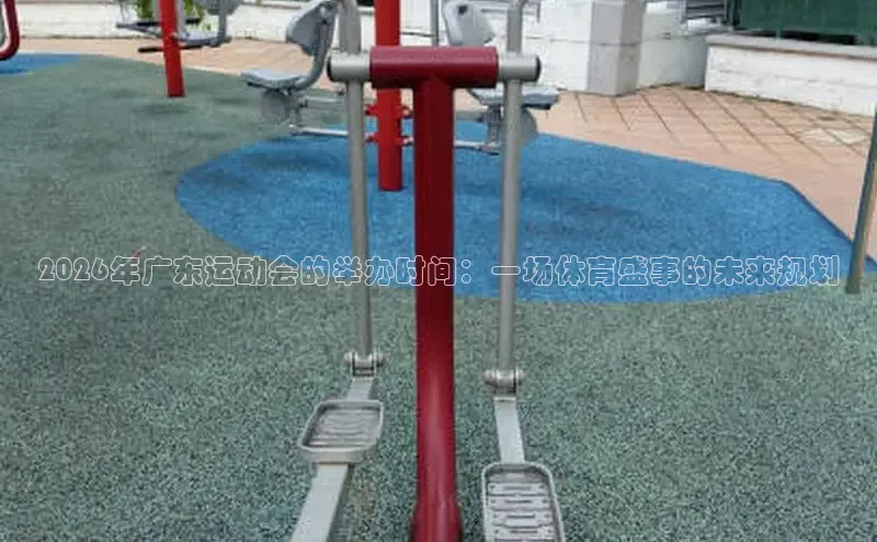 飞速体育直播